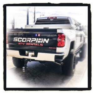 Truck with Scorpion Wrap on back